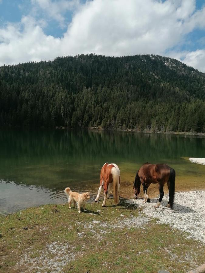 Zabljak_Vikendica Buitenkant foto