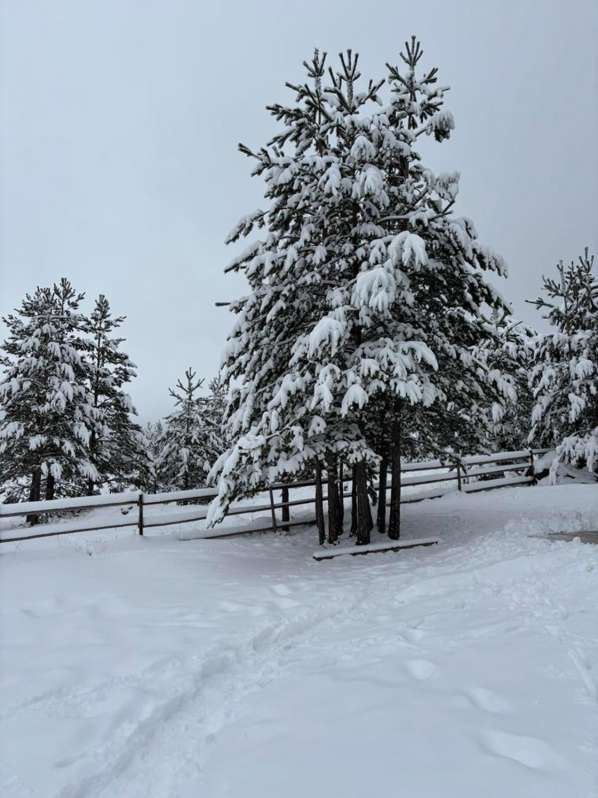 Zabljak_Vikendica Buitenkant foto